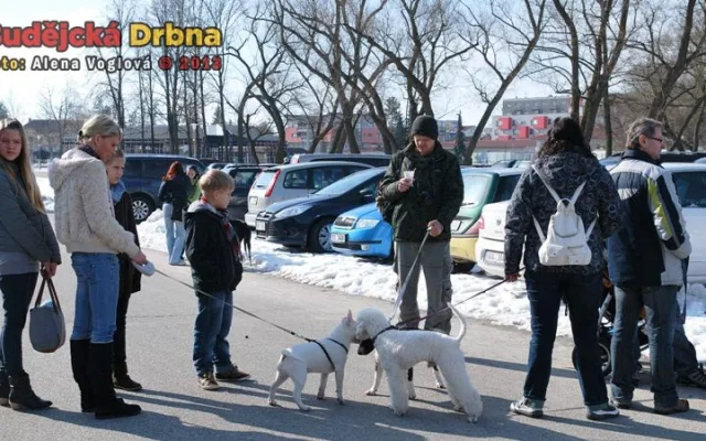 Počasí výstavě přálo