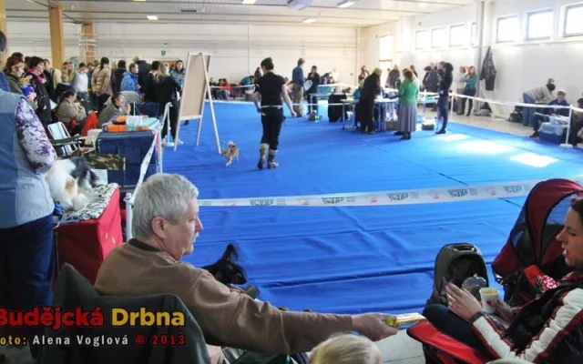 Vystavovatelé si den vyloženě užívali