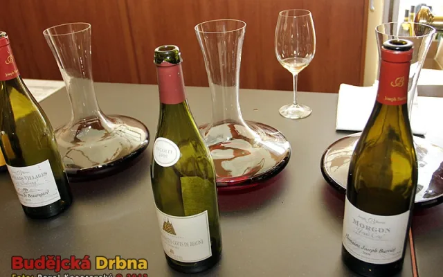 Budějcká restaurace Olivier v těchto dnech hostí Festival francouzských a italských vín