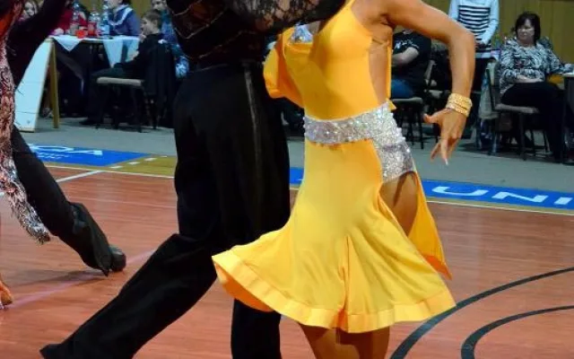 Mistrovství jižních Čech 2013 v tanečním sportu