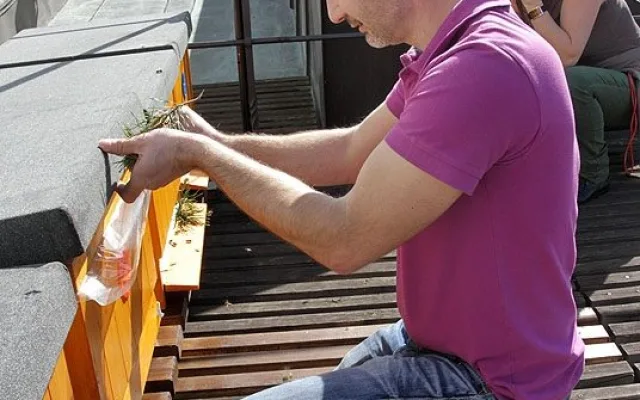 Aleš Mikšátko vylákává včely ven z úlů