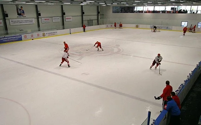 Letní příprava HC Mountfield v Hokejovém centru Pouzar
