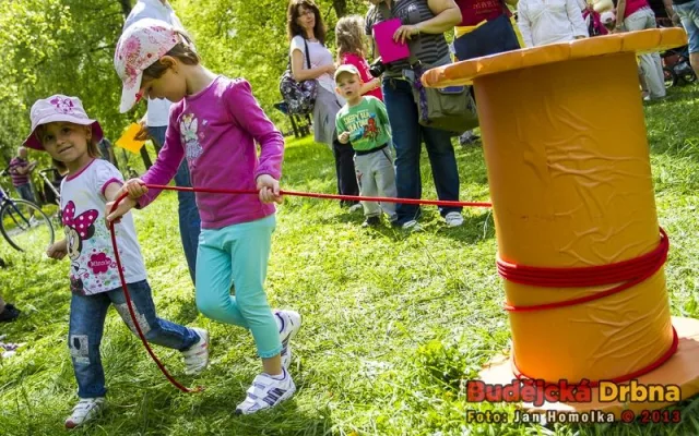 Do pohádky s králíky 2013