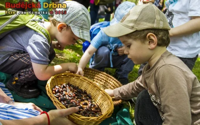 Do pohádky s králíky 2013
