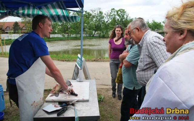 Možnost je naučit se filetovat ryby