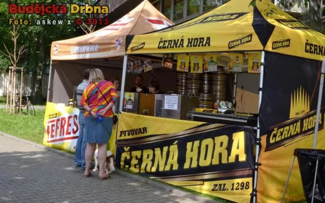Slavnosti piva 2013