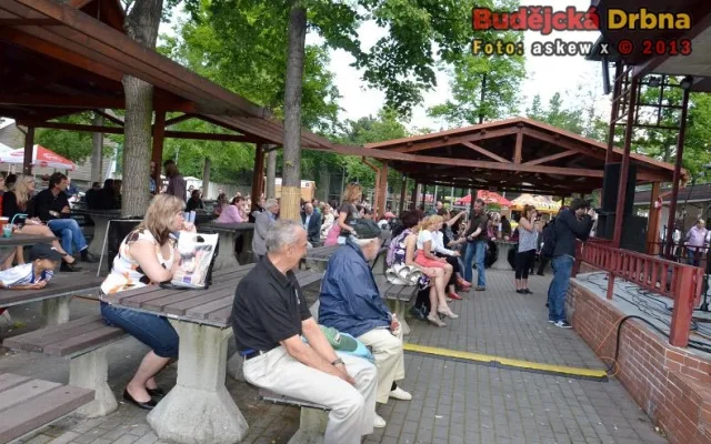 Slavnosti piva 2013