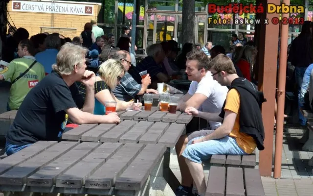 Slavnosti piva 2013