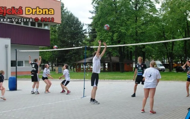 Hráči VK Jihostroj České Budějovice předváděli profesionální hru