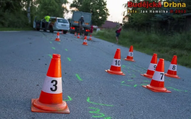 Srážka osobního automobilu s koněm v Šindlových Dvorech