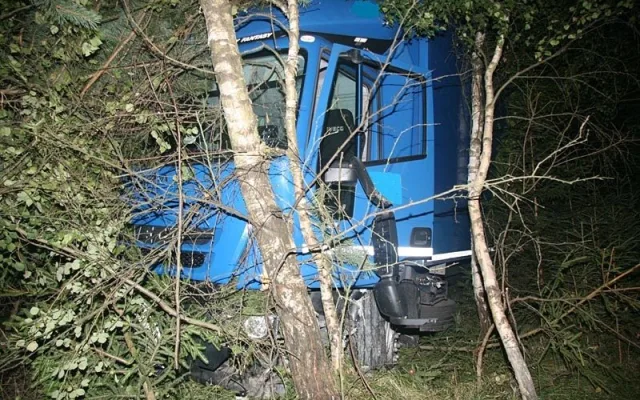 Iveco skončilo mimo silnici mezi vzrostlými stromy
