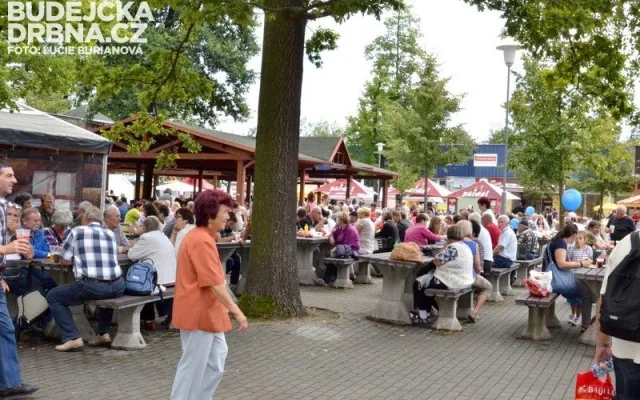 40. Země živitelka 2013