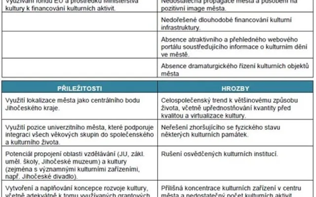 Ukázka z analytické části dokumentu