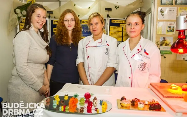 Vzdělání a řemeslo 2013