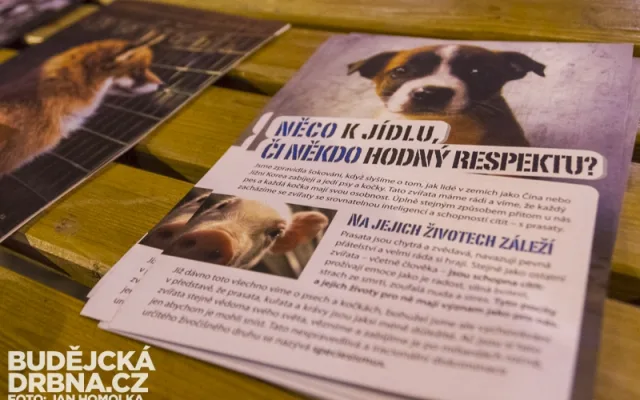 Promítání filmu Pozemšťané na Lannově třídě