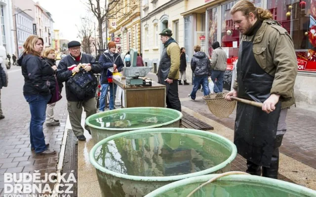 Tradiční prodej kaprů na Lannově třídě