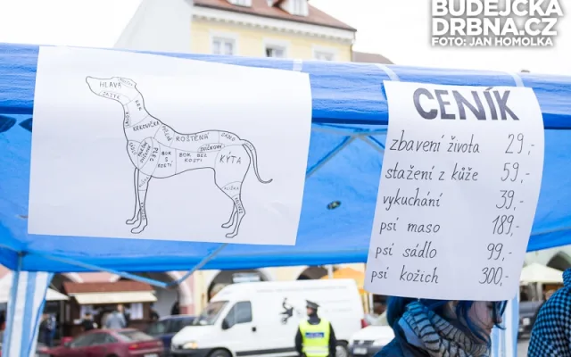 Vegani na náměstí Přemysla Otakara II. předstírali prodej psího masa