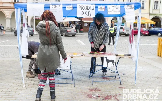 Vegani na náměstí Přemysla Otakara II. předstírali prodej psího masa
