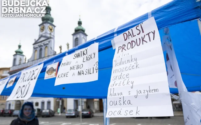 Vegani na náměstí Přemysla Otakara II. předstírali prodej psího masa