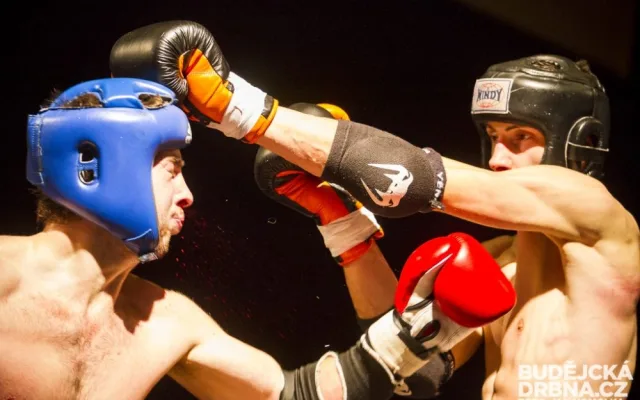 Otevřené mistrovství České republiky v MMA a Muay Thai