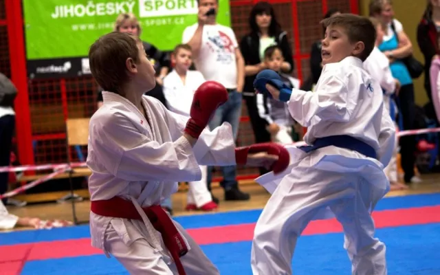 První kolo Krajské ligy pro děti i dospělé v karate v Borovanech