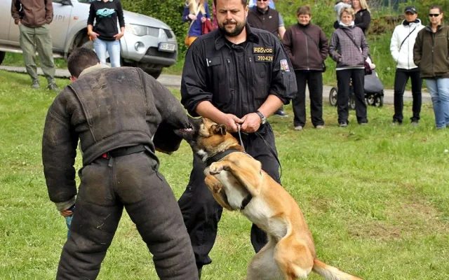 Extrémní závod Šumaman 2014