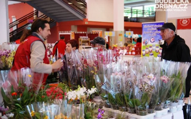 Vybrat si můžete i z různých druhů orchidejí