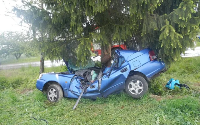 Tragická nehoda u Hracholusk