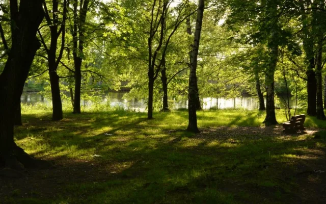 Park u rybníku
