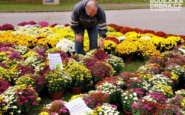 Záplava podzimních barev na Hobby nechybí