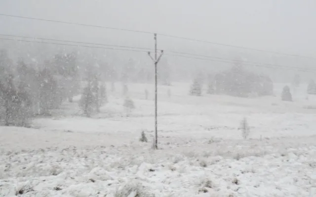 Šumava ve středu po obědě