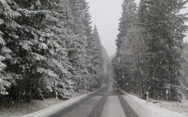 Šumava ve středu po obědě