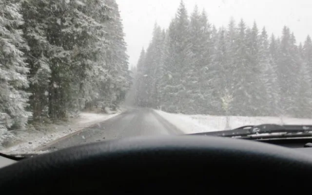 Šumava ve středu po obědě