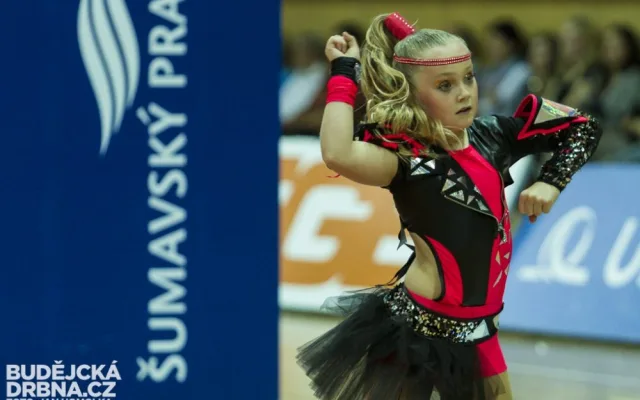 VK Jihostroj České Budějovice - Euro Sitex Příbram 3:0