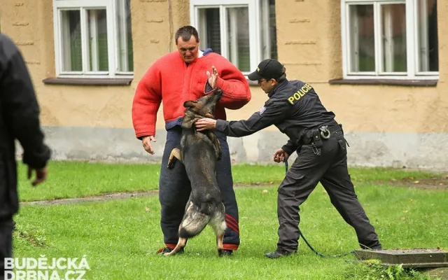 Krajský přebor policejních kynologů v Lišově