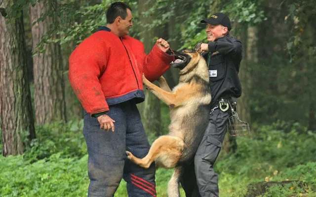 Krajský přebor policejních kynologů v Lišově