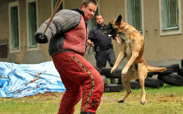 Krajský přebor policejních kynologů v Lišově