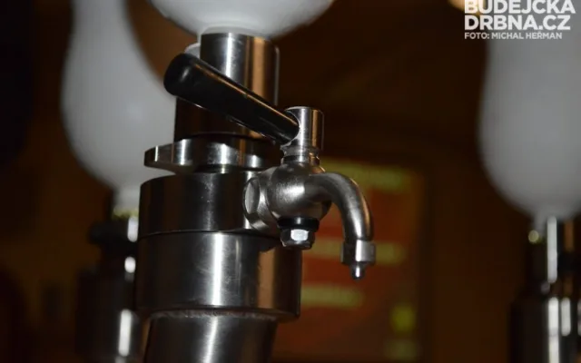 Budweiser Budvar B:Cryo