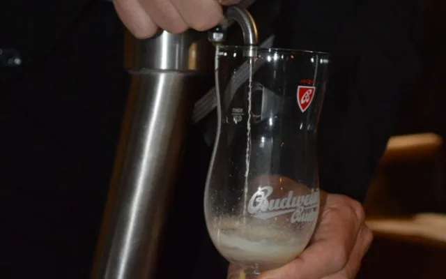 Budweiser Budvar B:Cryo