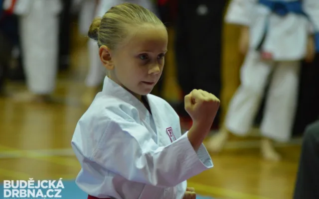 Mistrovství České republiky mládeže v karate v Českých Budějovicích