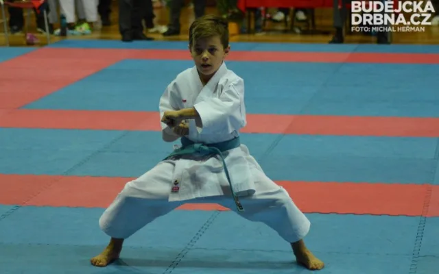 Mistrovství České republiky mládeže v karate v Českých Budějovicích