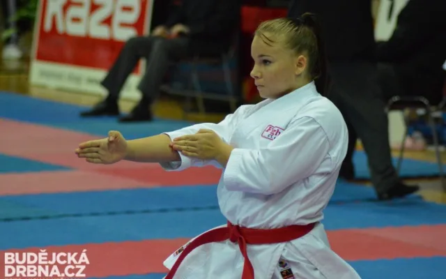 Mistrovství České republiky mládeže v karate v Českých Budějovicích