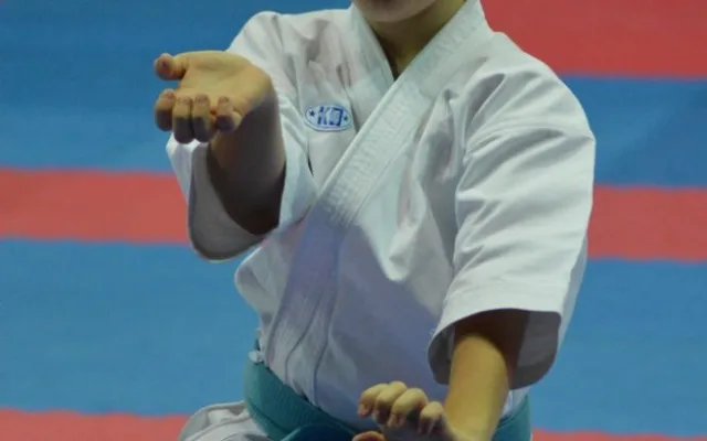 Mistrovství České republiky mládeže v karate v Českých Budějovicích
