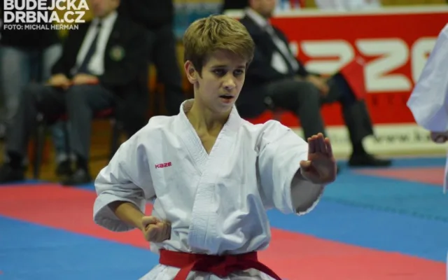 Mistrovství České republiky mládeže v karate v Českých Budějovicích