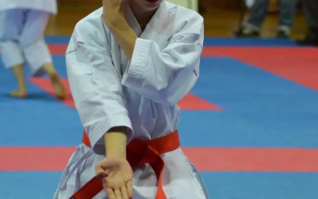 Mistrovství České republiky mládeže v karate v Českých Budějovicích