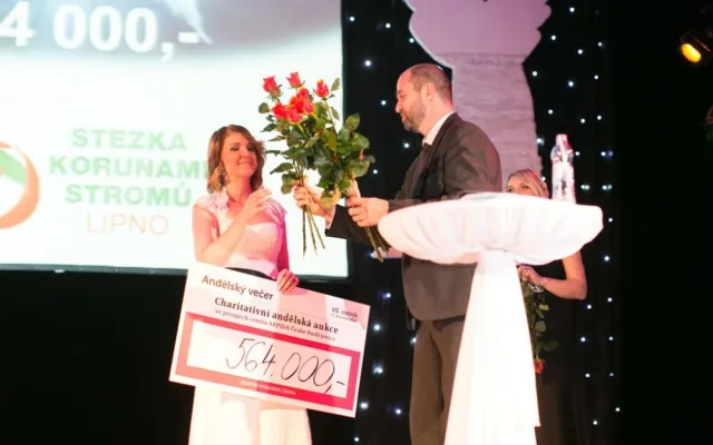 Andělská aukce 2014