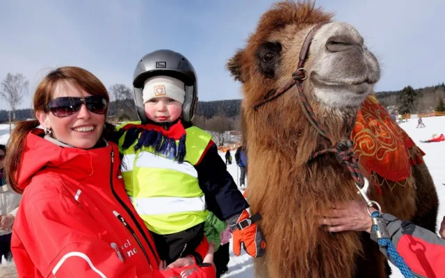Na Lipno v sobotu dorazí velbloud Šajtan a lamák Otík