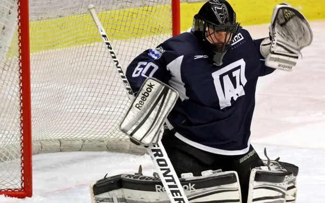 ČEZ Motor České Budějovice - HC AZ Havířov 2010 3:2p