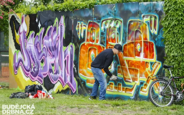 Majálesový piknik
