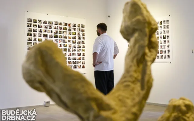 Vernisáž výstavy Umění ve městě v Galerii Mariánská